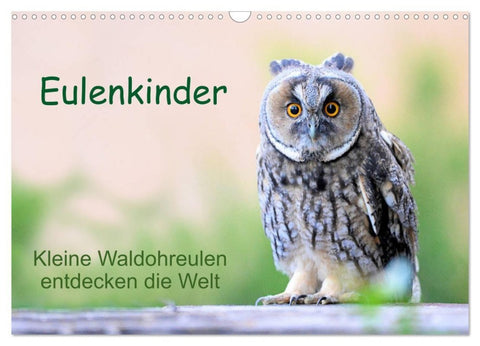 Eulenkinder - Kleine Waldohreulen entdecken die Welt (Wandkalender 2027 DIN A3 quer), CALVENDO Monatskalender