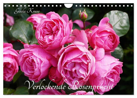 Verlockende Rosenpracht (Wandkalender 2027 DIN A4 quer), CALVENDO Monatskalender