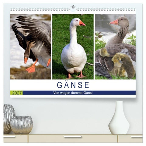 Gänse. Von wegen dumme Gans! (hochwertiger Premium Wandkalender 2027 DIN A2 quer), Kunstdruck in Hochglanz