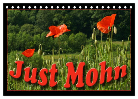 Just Mohn (Tischkalender 2026 DIN A5 quer), CALVENDO Monatskalender