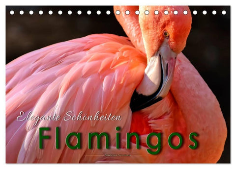 Flamingos - elegante Schönheiten (Tischkalender 2027 DIN A5 quer), CALVENDO Monatskalender