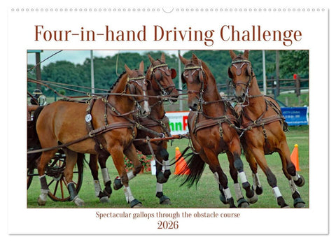 Four-in-hand Driving Challenge (Wall Calendar 2026 DIN A2 landscape), CALVENDO 12 Month Wall Calendar