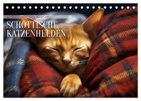 Schottische Katzenhelden (Tischkalender 2027 DIN A5 quer), CALVENDO Monatskalender