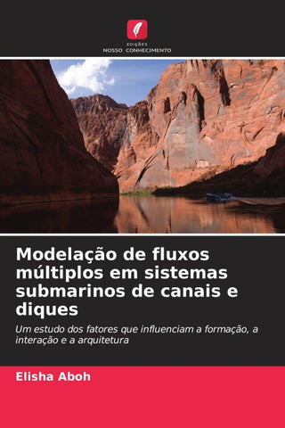 Modelação de fluxos múltiplos em sistemas submarinos de canais e diques