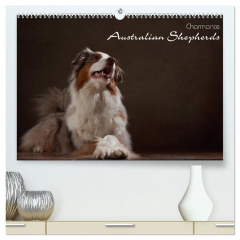 Charmante Australian Shepherds (hochwertiger Premium Wandkalender 2027 DIN A2 quer), Kunstdruck in Hochglanz