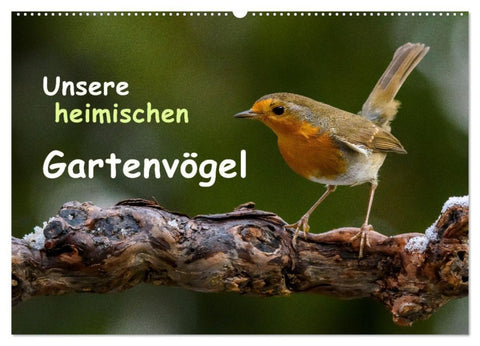 Unsere heimischen Gartenvögel (Wandkalender 2027 DIN A2 quer), CALVENDO Monatskalender