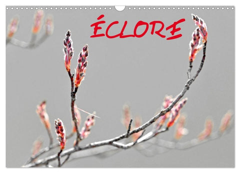 ÉCLORE (Calendrier mural 2027 DIN A3 vertical), CALVENDO calendrier mensuel