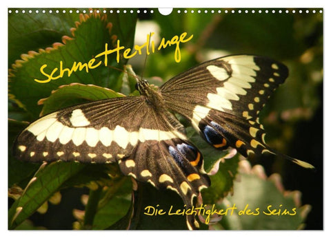 Schmetterlinge (Wandkalender 2027 DIN A3 quer), CALVENDO Monatskalender