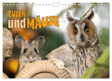 Eulen und Mäuse (Wandkalender 2026 DIN A4 quer), CALVENDO Monatskalender