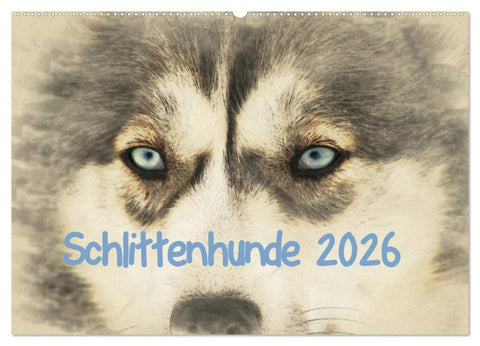 Schlittenhunde 2026 (Wandkalender 2026 DIN A2 quer), CALVENDO Monatskalender