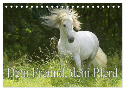 Dein Freund, dein Pferd (Tischkalender 2027 DIN A5 quer), CALVENDO Monatskalender