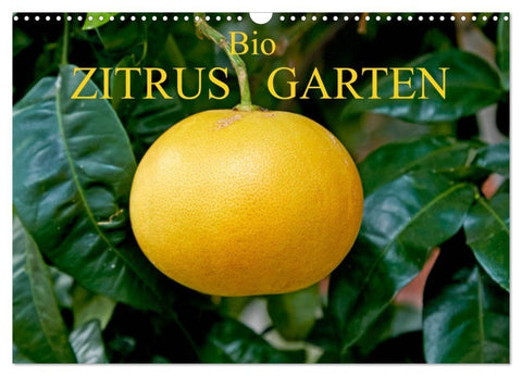 Bio Zitrus Garten (Wandkalender 2027 DIN A3 quer), CALVENDO Monatskalender