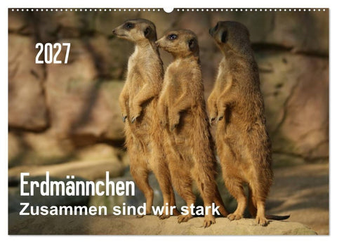 Erdmännchen – Zusammen sind wir stark / CH-Version (Wandkalender 2027 DIN A2 quer), CALVENDO Monatskalender
