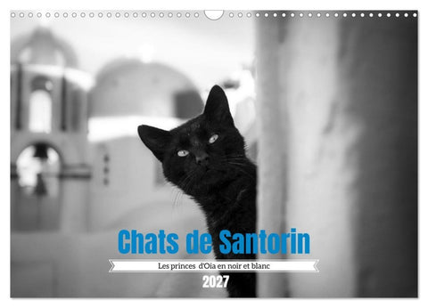 Chats de Santorin - Les princes d'Oia en noir et blanc (Calendrier mural 2027 DIN A3 vertical), CALVENDO calendrier mensuel