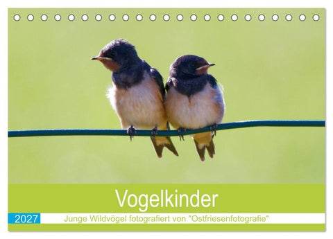 Vogelkinder - Junge Wildvögel (Tischkalender 2027 DIN A5 quer), CALVENDO Monatskalender