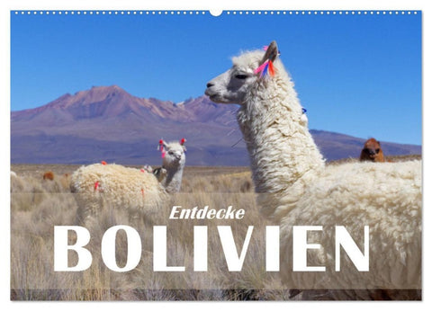 Entdecke Bolivien (Wandkalender 2027 DIN A2 quer), CALVENDO Monatskalender