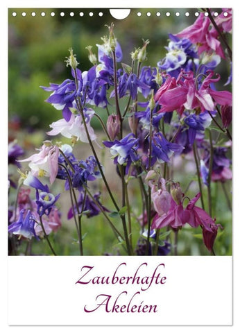 Zauberhafte Akeleien (Wandkalender 2027 DIN A4 hoch), CALVENDO Monatskalender