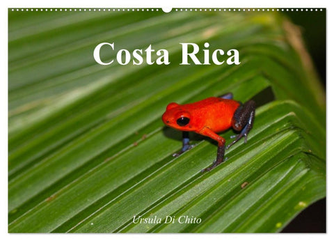 Costa Rica (Wandkalender 2026 DIN A2 quer), CALVENDO Monatskalender