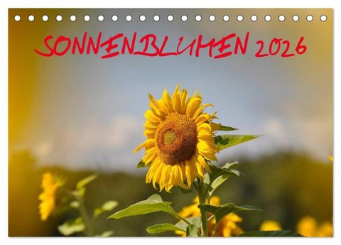 Sonnenblumen 2026 (Tischkalender 2026 DIN A5 quer), CALVENDO Monatskalender