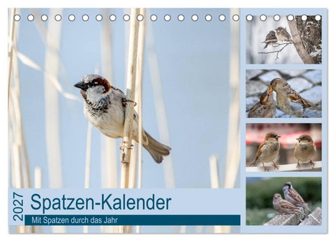 Spatzen-Kalender (Tischkalender 2027 DIN A5 quer), CALVENDO Monatskalender