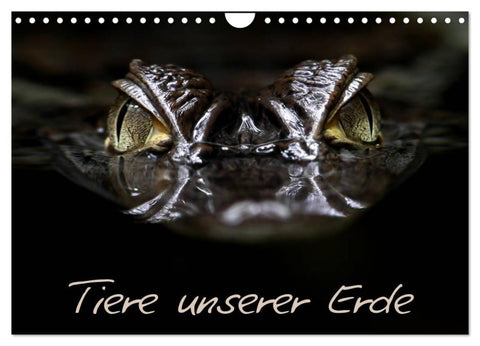 Tiere unserer Erde (Wandkalender 2027 DIN A4 quer), CALVENDO Monatskalender