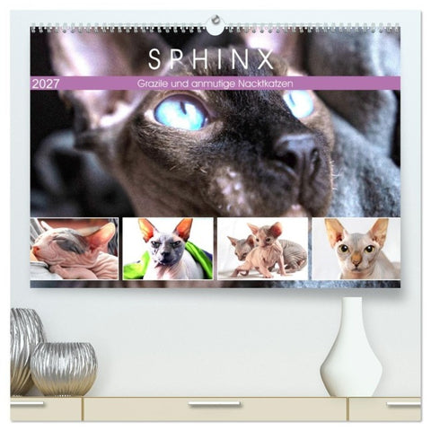 Sphinx. Grazile und anmutige Nacktkatzen (hochwertiger Premium Wandkalender 2027 DIN A2 quer), Kunstdruck in Hochglanz