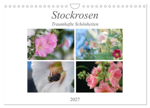 Stockrosen - Traumhafte Schönheiten (Wandkalender 2027 DIN A4 quer), CALVENDO Monatskalender