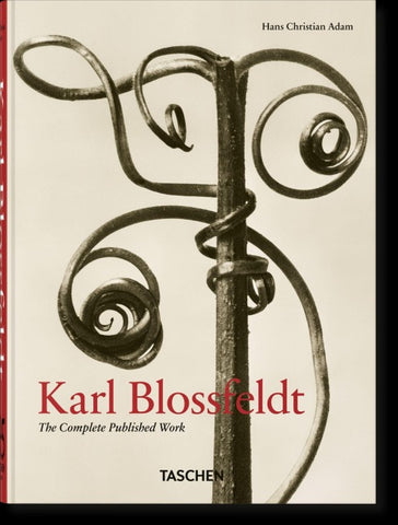 Karl Blossfeldt