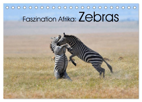 Faszination Afrika: Zebras (Tischkalender 2027 DIN A5 quer), CALVENDO Monatskalender