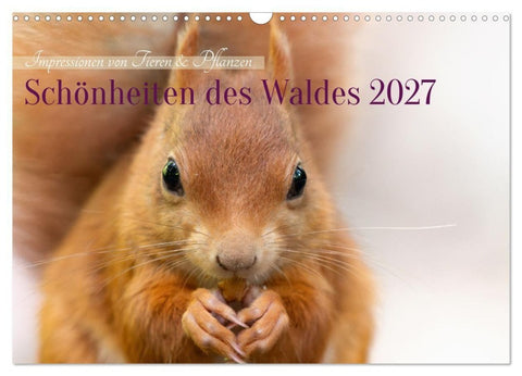 Schönheiten des Waldes (Wandkalender 2027 DIN A3 quer), CALVENDO Monatskalender
