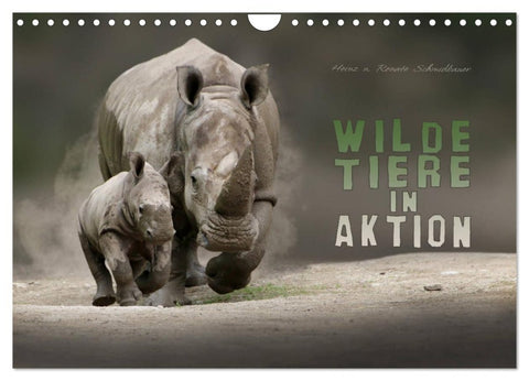 WILDE TIERE IN AKTION (Wandkalender 2026 DIN A4 quer), CALVENDO Monatskalender