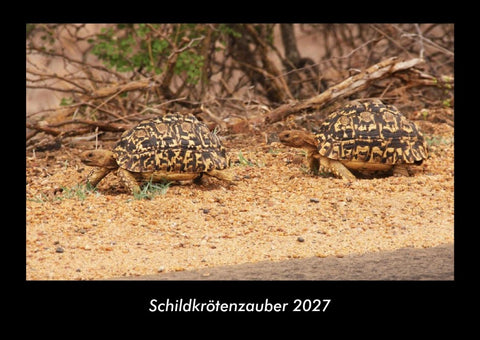Schildkrötenzauber 2027 Fotokalender DIN A3