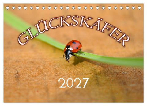 Marienkäfer 2027 (Tischkalender 2027 DIN A5 quer), CALVENDO Monatskalender
