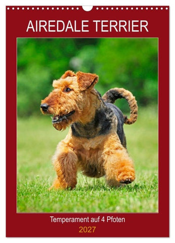 Airedale Terrier - Temperament auf 4 Pfoten (Wandkalender 2027 DIN A3 hoch), CALVENDO Monatskalender