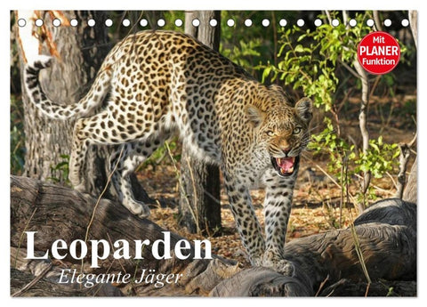 Leoparden. Elegante Jäger (Tischkalender 2026 DIN A5 quer), CALVENDO Monatskalender