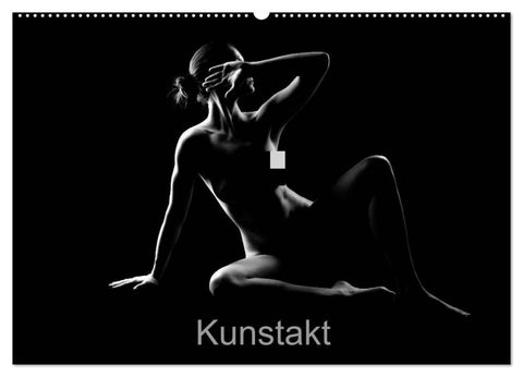 Kunstakt (Wandkalender 2027 DIN A2 quer), CALVENDO Monatskalender