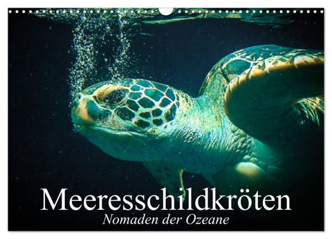 Meeresschildkröten. Nomaden der Ozeane (Wandkalender 2027 DIN A3 quer), CALVENDO Monatskalender