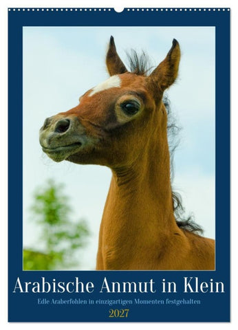 Arabische Anmut in Klein (Wandkalender 2027 DIN A2 hoch), CALVENDO Monatskalender