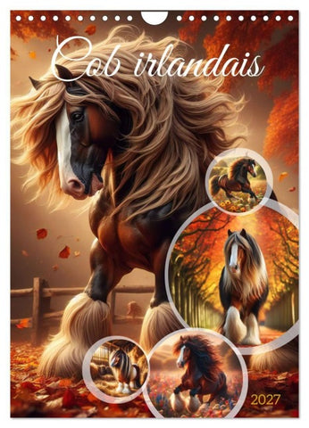 Cob irlandais (Calendrier mural 2027 DIN A4 horizontal), CALVENDO calendrier mensuel