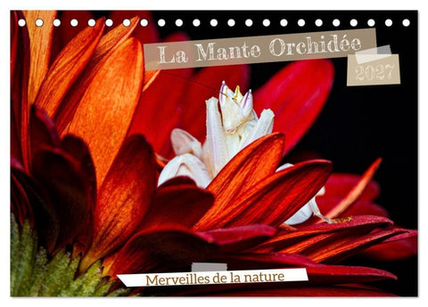 La Mante Orchidée (Calendrier de bureau 2027 DIN A5 vertical), CALVENDO calendrier mensuel