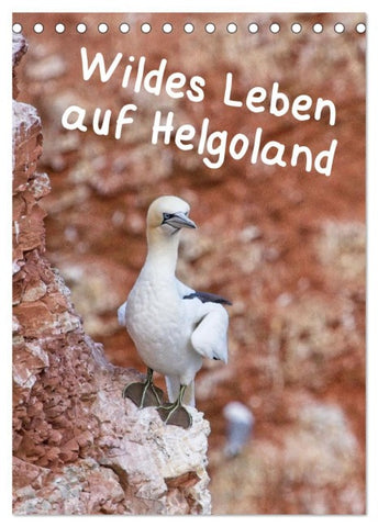 Wildes Leben auf Helgoland (Tischkalender 2026 DIN A5 hoch), CALVENDO Monatskalender