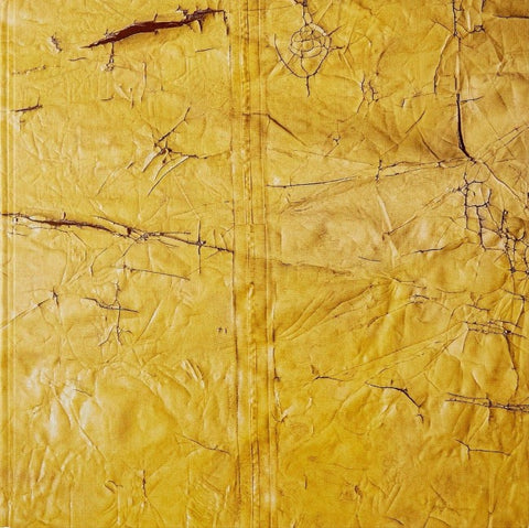 David Hammons