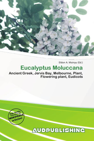 Eucalyptus Moluccana