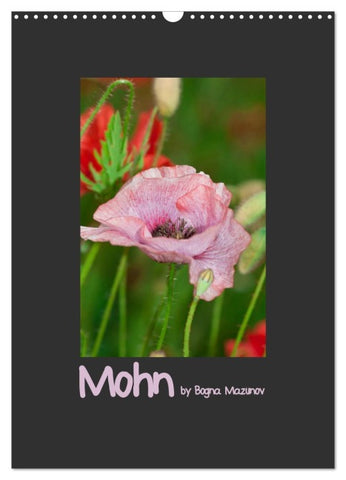 Mohn (Wandkalender 2026 DIN A3 hoch), CALVENDO Monatskalender