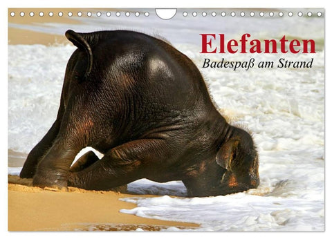Elefanten. Badespaß am Strand (Wandkalender 2026 DIN A4 quer), CALVENDO Monatskalender