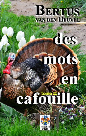 Des mots en cafouille II