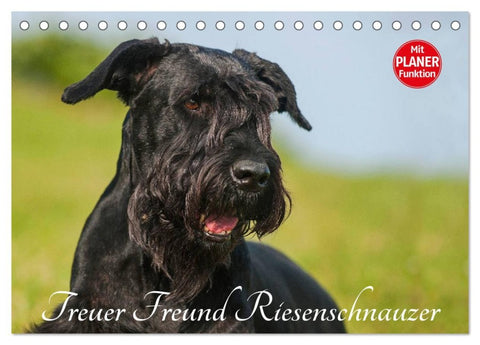 Treuer Freund Riesenschnauzer (Tischkalender 2026 DIN A5 quer), CALVENDO Monatskalender