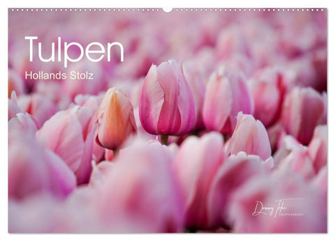 Tulpen - Hollands Stolz (Wandkalender 2026 DIN A2 quer), CALVENDO Monatskalender