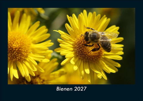 Bienen 2027 Fotokalender DIN A5