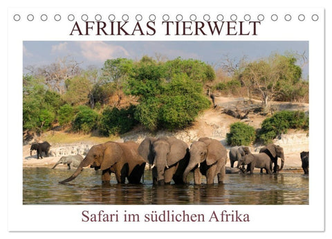 Afrikas Tierwelt, Safari im südlichen Afrika (Tischkalender 2027 DIN A5 quer), CALVENDO Monatskalender